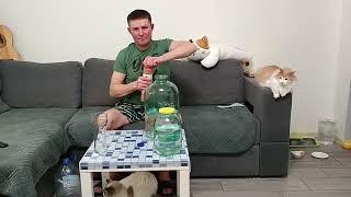 Коктейль Джин на облепихе!