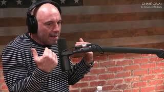 Joe Rogan Endorses HAG Capisco for Spine Health: The Ergonomic Chair Revolution