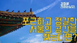 포근하고 정갈한 서울의 공간을 찾는다면?[서울/창경궁]