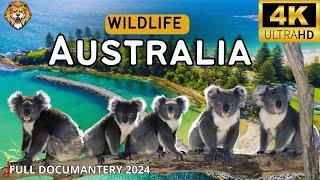 WILD AUSTRALIA 4K | The Best Scenic Documentary with Relaxing Music| Wild Nature Documentary