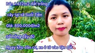 Bán đất trồng cây vùng ven thành phố nha trang