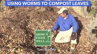 Using Worms to Compost Leaves: Best Garden Compost