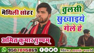 मैथिली सोहर।। तुलसी सुखाइये गेले हे।। Sohar  ।।‌amit Kumar Pushpam viral singer