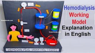 hemodialysis working model explanation in english | biology project | howtofunda