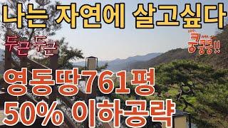 [귀촌하기좋은곳] 충북영동 땅도 싸게사고 농지연금도 받고 도로옆761평 (더보기참고)