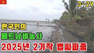 [베트남벼농사] 베트남시골 두번째 볍씨파종 3월29일 이야기 (kiengiangtv)