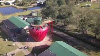 Redberry Farm near George