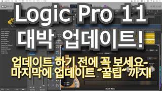Logic Pro 11 대박~ 업데이트 / 드러머, 베이시스트, 키보디스트 사용법 및 AI 기능 까지 총정리
