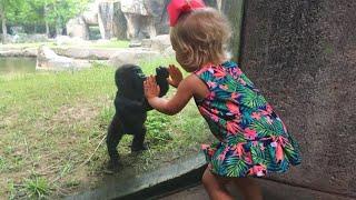 Little Friends Have Adorable Encounters With Animals At The Zoo