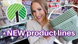 *BRAND NEW* DOLLAR TREE ORGANIZATION product lines for 2025! 