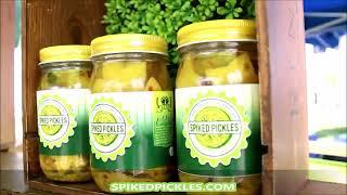 24th Annual Downtown Venice Art Classic / SPIKED PICKLES FIN