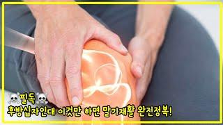 후방십자인대 말기재활운동