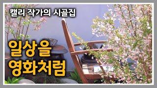 캘리 작가의 시골집 [114] 머위쌈 점심 먹고 꽃소풍 갑니다