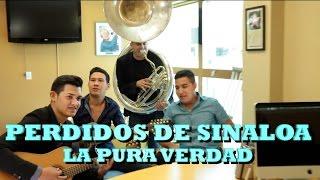 PERDIDOS DE SINALOA - LA PURA VERDAD (Versión Pepe's Office)