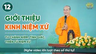 Giới thiệu kinh Niệm Xứ | Niệm thân - Thiền Tứ Niệm Xứ | Bài số 12