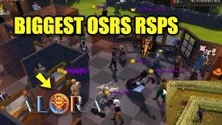 Alora RSPS: *500+ Online* How to get Started & Make Money on Biggest OSRS RSPS! +BIG G/A