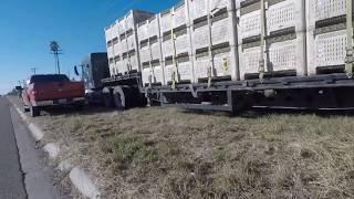 Ruby Red Texas Grapefruit Harvest