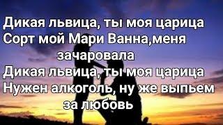 ALEX & RUS - Дикая львица (Lyrics, Текст)