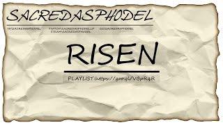 Прохождение Risen #15 - Ассасинство в нас преобладает ツ