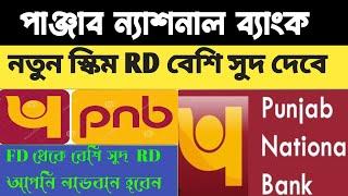 পাঞ্জাব ন্যাশনাল ব্যাংক নতুন স্কিম TD ।। punjab national bank ।। panjab national Bank new schim