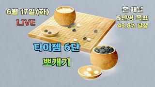 [생]타이젬바둑 6단 뽀개기