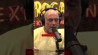 The Unseen Toll of Combat: Are Fighters Paying the Price?- Joe Rogan & John McPhee.