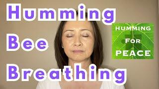 Humming Bee Breathing | Humming for Peace