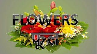 Learn Names of Flowers | Flower Names in Animation Video | Better Kids Education