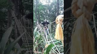 ஓடி வந்தாச்சு | 900 Kandi Eco Park | Horizontal Ladder | Wayanad | Episode 5 | Day 2 |Kerala#shorts