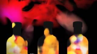 MIDIVAL PUNDITZ - Bhangra Fever