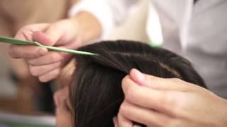 Lice Clinics of America - Screen & Diagnose