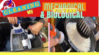 Cleaning My DIY Pond Mechanical & Biological Filters