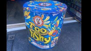 TOO FISHY by WINDA FIREWORKS