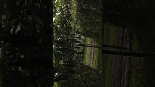 karela ki khite