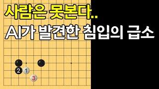 [소목두칸굳힘] ai가 추천하는 기막힌 침투의 급소