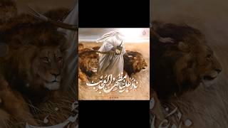 Mera mola Haider Haider #islamic #short #molaali