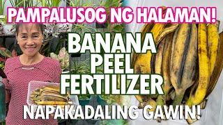 BALAT NG SAGING, PAMPATABA NG HALAMAN! (Banana Peel Fertilizer Tutorial) | Haydee's Garden