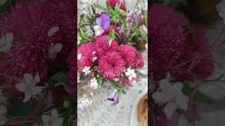 дачное #чаепитие на веранде #дача #карелия #деревня #винтаж #ностальгия #веранда