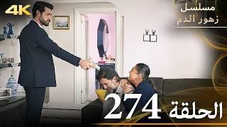 الحلقة 274 | مسلسل زهور الدم | مدبلج بالعربية | Kan Çiçekleri | جودة 4K