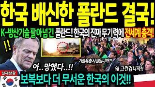 [해외감동사연] 한국 배신한 폴란드의 최후! 한국 무기보다 더 무서운 이것에 폴란드 벌벌 떠는 이유에 전세계 충격!