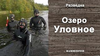 Озеро Уловное. Подводная охота в Ленинградской области. гидрокостюмы HAMMERFISH