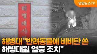 해병대 "반려동물에 비비탄 쏜 해병대원 엄중 조치" / 연합뉴스TV (YonhapnewsTV)