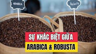 Sự khác biệt giữa Arabica và Robusta | Lyon Coffee