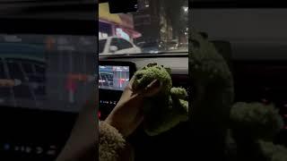 미친 개구리 인형