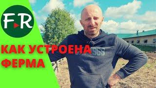 Как устроена овечья ферма? Сколько электричества потребляет ферма Покров? Как устроена купка овец?