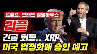 트럼프, 브래드 갈링하우스 리플 긴급 회동.. XRP 미국 법정화폐 승인 예고 #리플 #리플전망 #리플코인