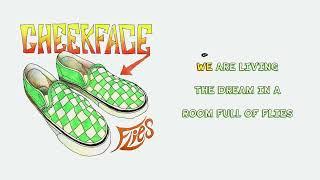 Cheekface – Flies lyric video