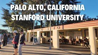 [4K] Walking PALO ALTO, CALIFORNIA & STANFORD UNIVERSITY (September 7, 2024)