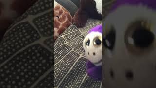 Me and my monkey crew 2 vid