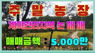 406 서정리 주말농장 매매 전망이 좋은 세컨하우스 부지 매매 조용하고 깨끗한 포항전원주택부지매매 포항부동산